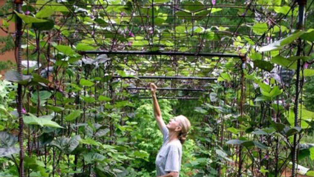 Challenges of Developing and Keeping Technology Sustainable