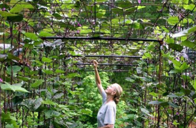 Challenges of Developing and Keeping Technology Sustainable