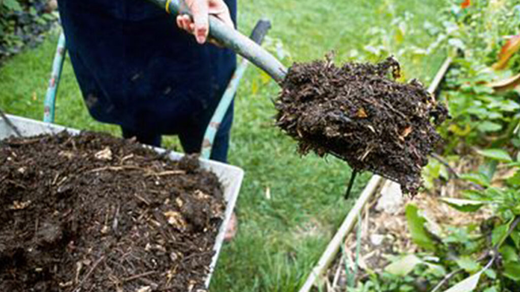 Green Energy Solutions