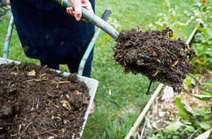 Green Energy Solutions