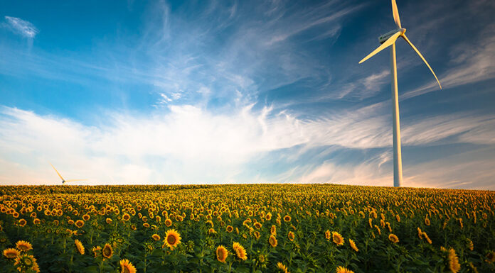 What Is Green Technology and What Are The Benefits?