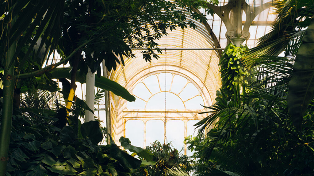 Sustainable Design for Living Doesn’t Mean It Can’t Be Luxurious