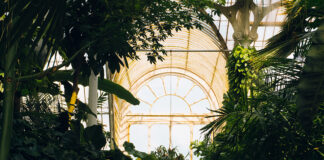 Sustainable Design for Living Doesn’t Mean It Can’t Be Luxurious Sustainable Design for Living Doesn’t Mean It Can’t Be Luxurious