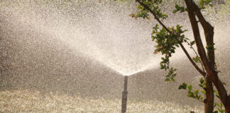 Eco-Friendly Gadgets 2020: Paving the Way to a Greener Future