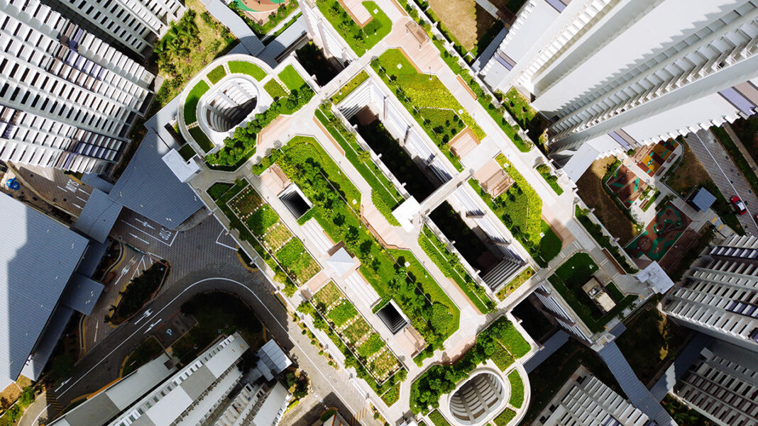 Green Roofs On Buildings