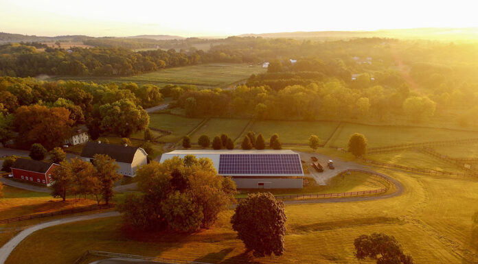 How do Community Solar Farms Work?