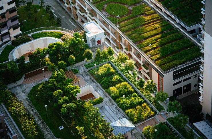 Living Concrete, The Future of Sustainable Construction? Living Concrete, The Future of Sustainable Construction?