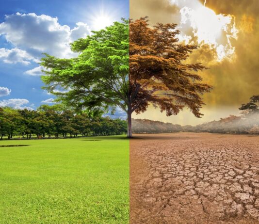 Global Warming
