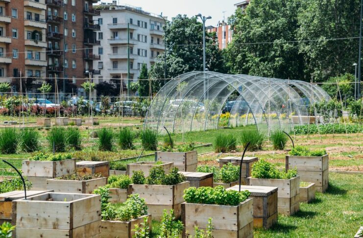 Urban Farming