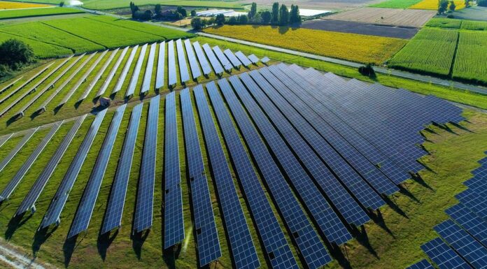 Solar Farms