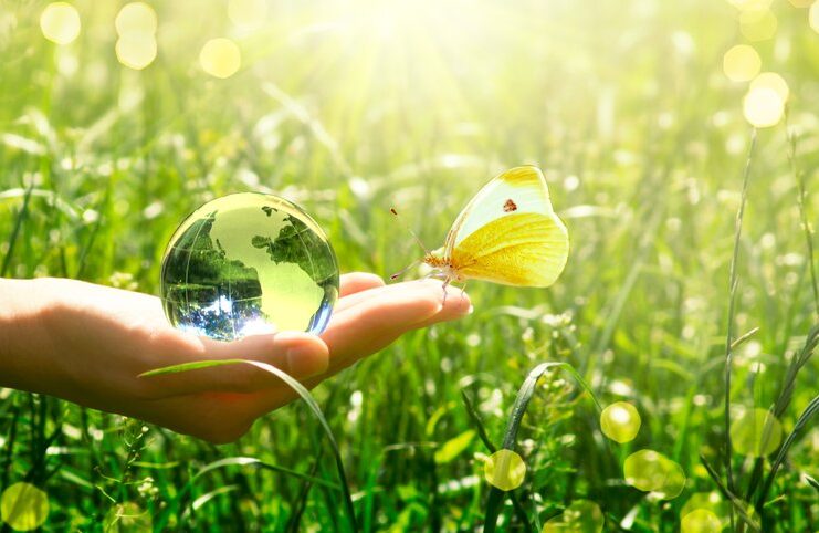 Going Green