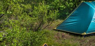 Green Gadgets and Appliances