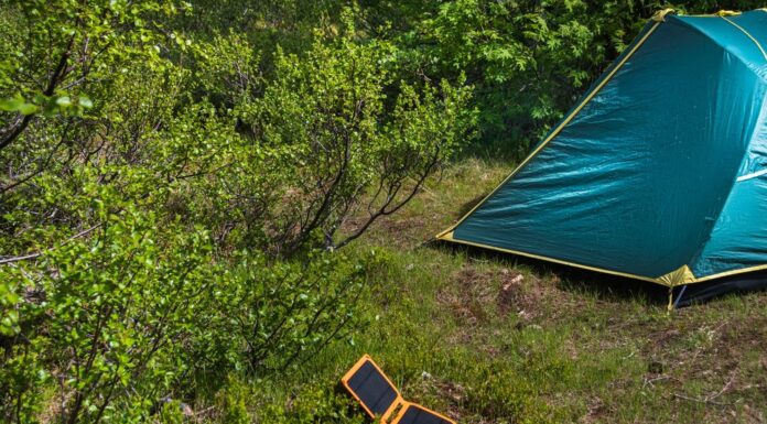 Green Gadgets and Appliances