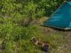 The Best Green Gadgets and Appliances (With Examples) Green Gadgets and Appliances