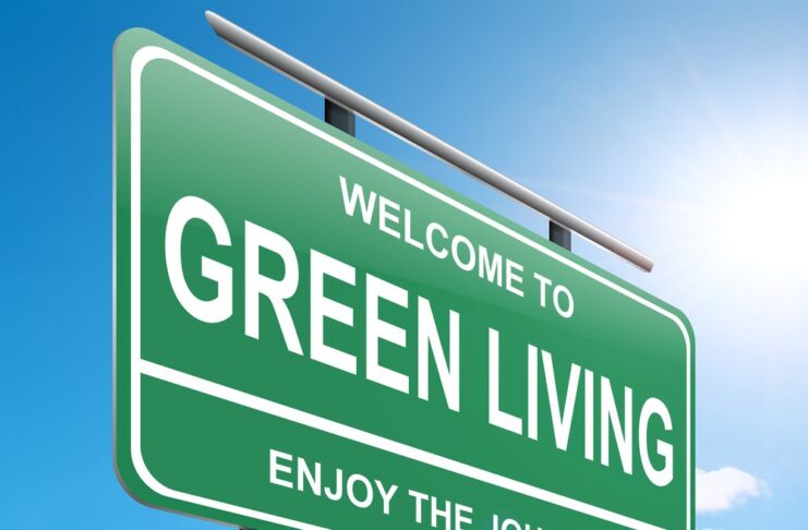 Green Living on a Budget: Eco-Friendly Tips for Every Household Green Living