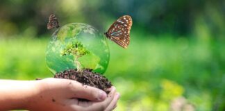 Importance of Biodiversity