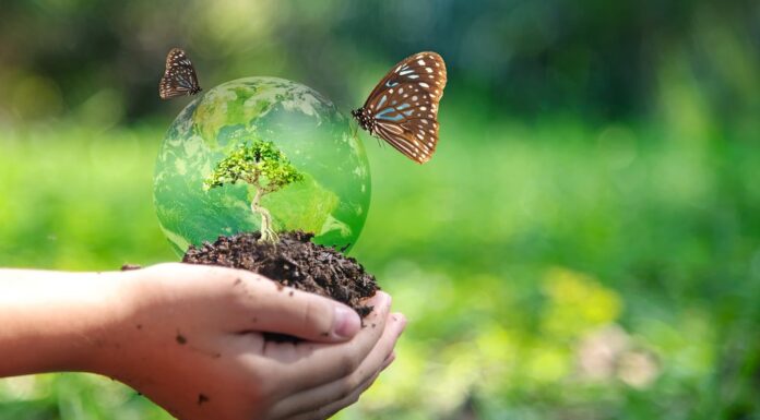 Importance of Biodiversity