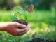 The Importance of Biodiversity Importance of Biodiversity