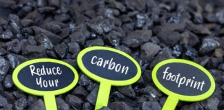 Reduce Your Carbon Footprint at Home
