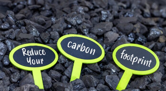 7 Easy Ways to Reduce Your Carbon Footprint at Home Today Reduce Your Carbon Footprint at Home